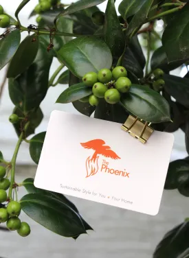 $1000 Online Gift Card