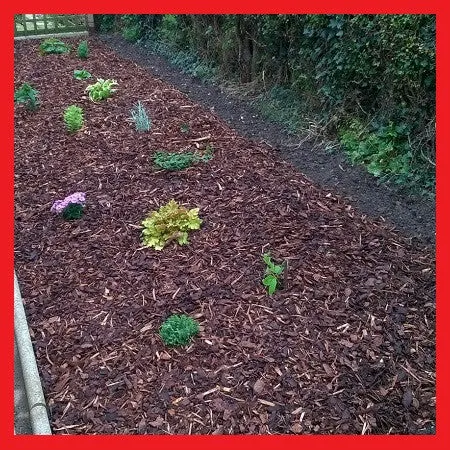 2m x 10m Weed Control Fabric / Garden Membrane 50g