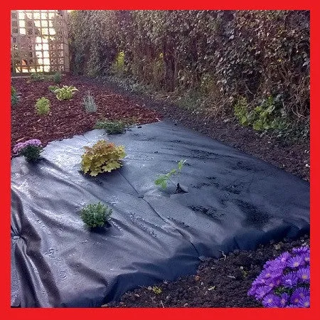 2m x 10m Weed Control Fabric / Garden Membrane 50g